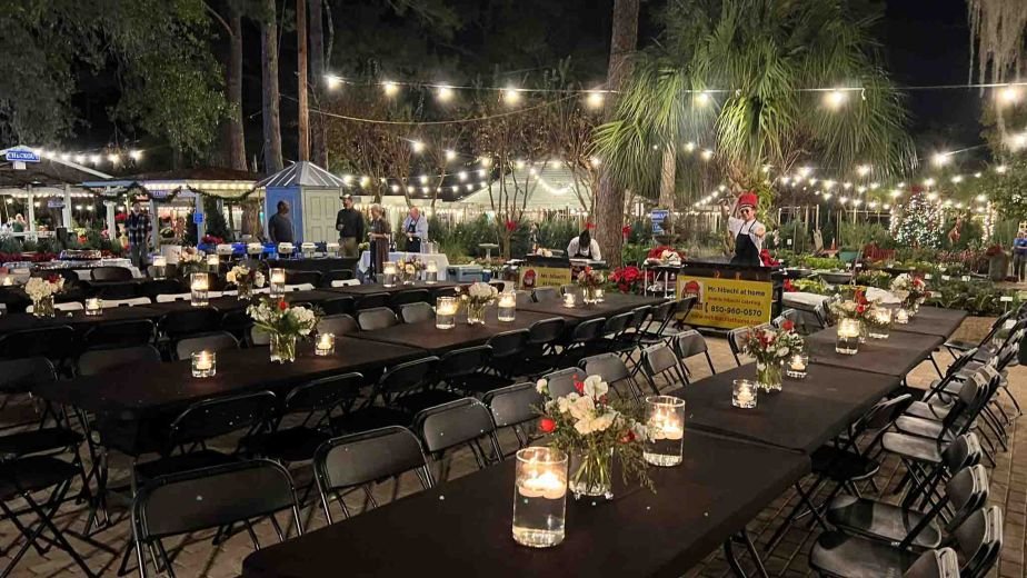 Guests at long tables under string lights at a nighttime hibachi dinner